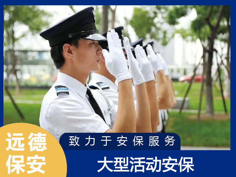 金山大型活动现场安保